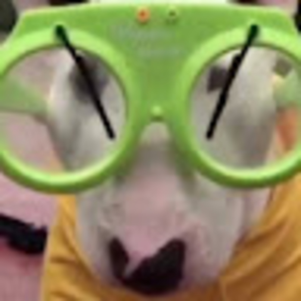 Meet your Posher, Jj